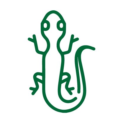 Lizard Repellent
