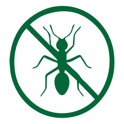 ANT