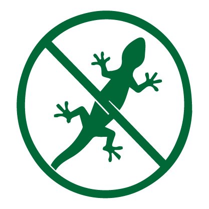 LIZARD
