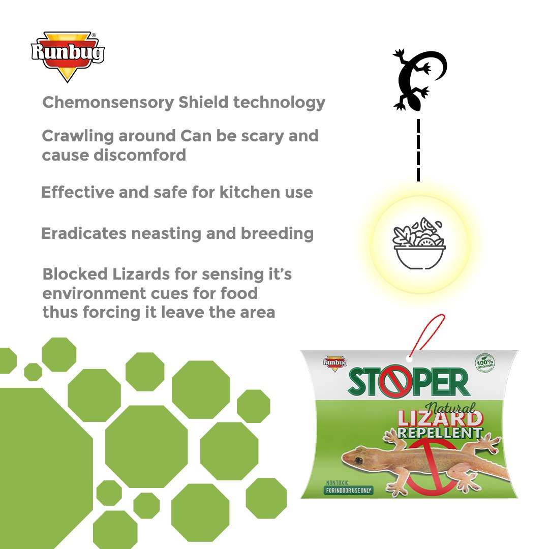 Runbug Stoper Natural Lizard Repellent Box| Non-Toxic | Indoor Use | 100% Organic -20g (Pack of 4) image 4