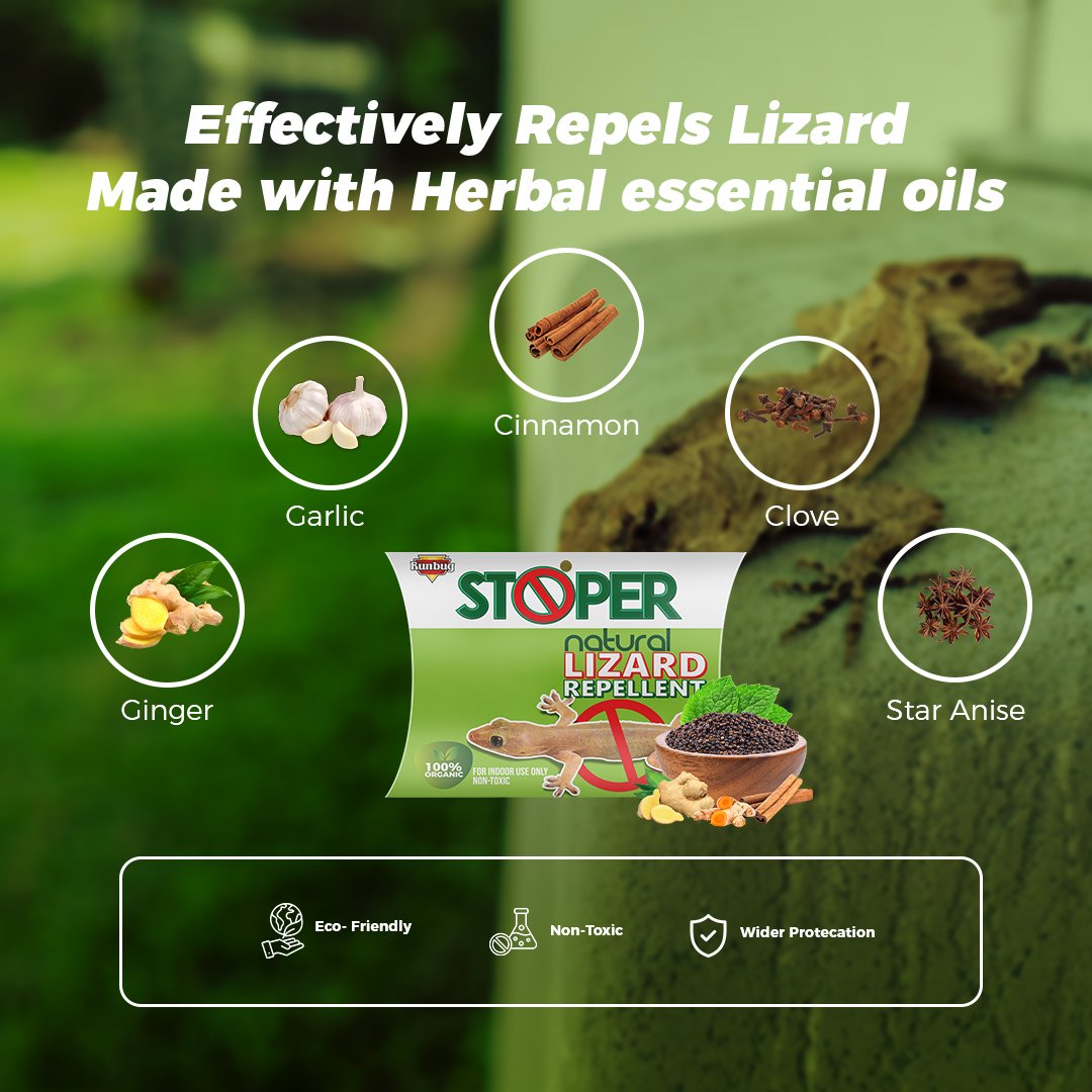 Runbug Stoper Natural Lizard Repellent Box| Non-Toxic | Indoor Use | 100% Organic -20g (Pack of 4) image 5