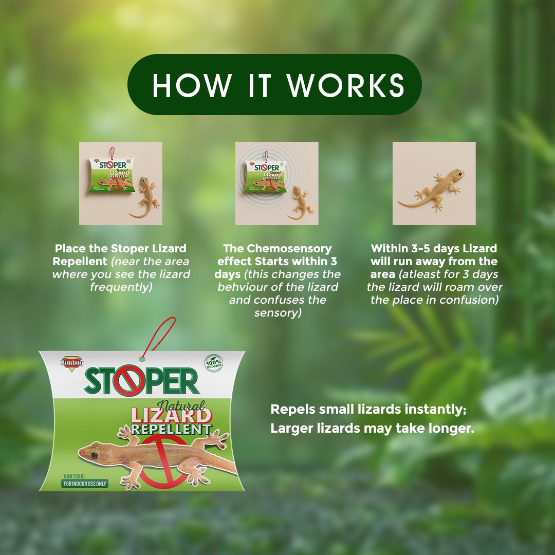 Runbug Stoper Natural Lizard Repellent Box| Non-Toxic | Indoor Use | 100% Organic -20g (Pack of 4) image 6